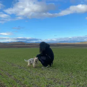 EMPLEADA DE LIMPIEZA EN PAMPLONA!!!
