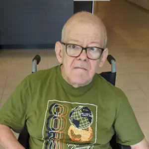 chats et personnes a s occuper