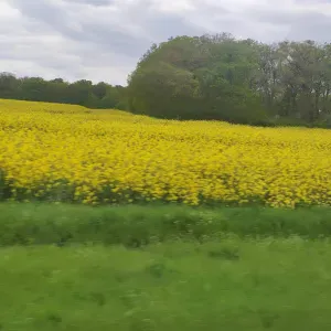 Poste pour un(e) aide ménagère à Frisange