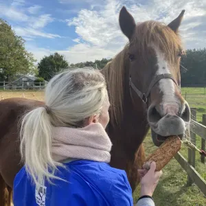 Pet-Sitter à Bruxelles (chez vous uniquement)