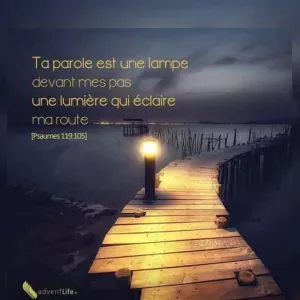 Auxiliaire de vie, dame de compagnie 