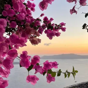 	Baby-sitter sérieuse et motivée