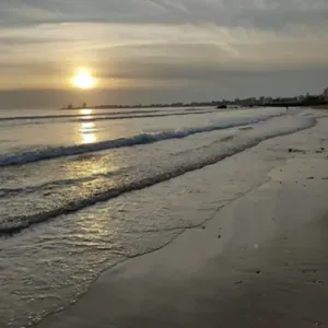 Baby-sitter immédiatement pour le mois de janvier