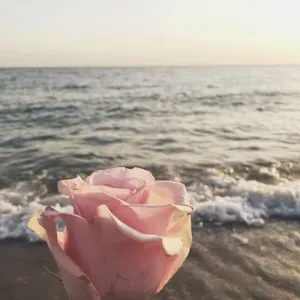 Nounou a plein temps sur Paris