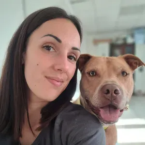 Promenade canine dans la val d'oise / oise