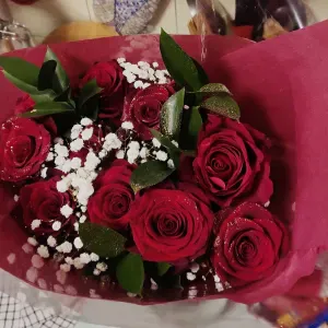 Aide a domicile personnes âgées 