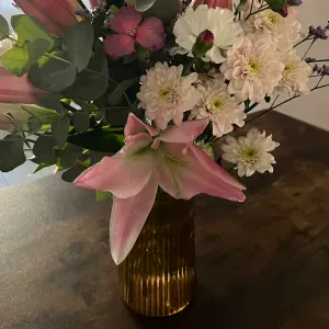 Aide soignante diplômé expérimenté 