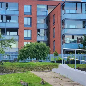 Housekeeper needed in Helsinki
