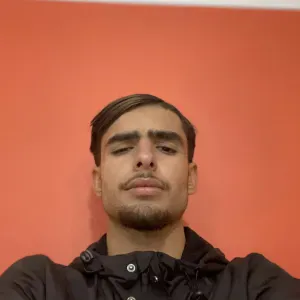 Besoin daide pour garder votre animal votre petsitter a lyon