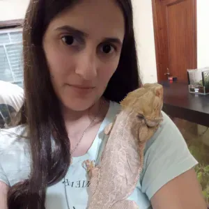 Pet sitting para cães, répteis e roedores em Leiria