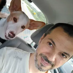Servizi di pet sitting - dog sitting
