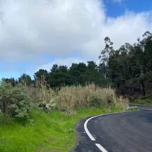Cuidando animales en Las Palmas de GC
