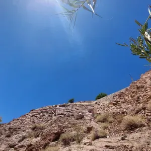 Disponible durant les horaires d'école ! 