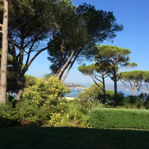 Dame de compagnie dans le golf de Saint Tropez