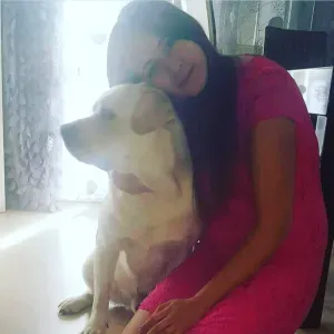 Pet-Sitter a Begles! Chien Cha