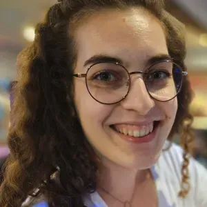 Votre repassage à mon domicile à Beaune