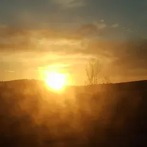 Femme de ménage ,service à la personne 