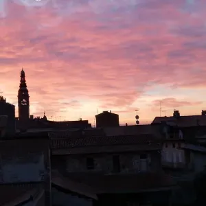 Assistenza compagnia  dintorni a borgomanero