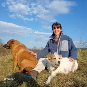 Gardes de nuits régulières - 2 chiens calmes - Long terme