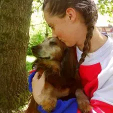 Garde et promenade d'animaux sur Albertville et alentours 