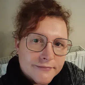 Assistante de vie  secteur Husseren-Wesserling 