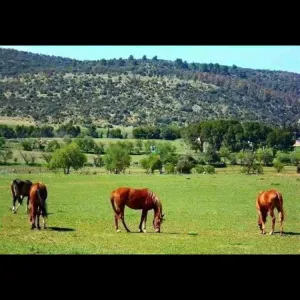 Nounou à domicile sympa et expérimentée 😊