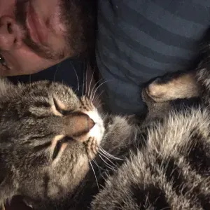 Offre d'emploi pour un(e) auxiliaire de vie à Saint-Alban