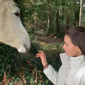 Étudiante en droit propose aide aux devoirs