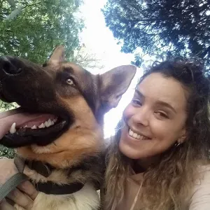 Cão da Malta Comportamento & Companhia