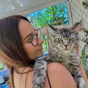 Pet-Sitter : visites, promenades, soins à Rodez/alentours 