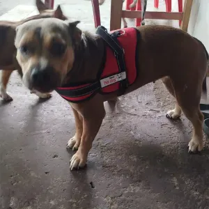 Ciao, mi chiamo Alexandra ...Sono dell Ecuador 