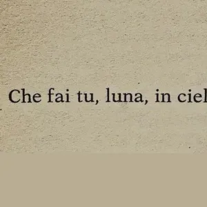 Cerco per pulire casa