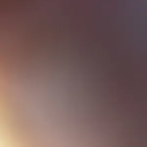 Femme de ménage expérimentée à Nantes