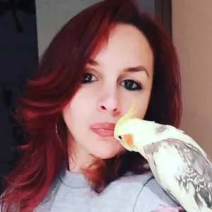 Baby sitter ayant travaillé en crèche 