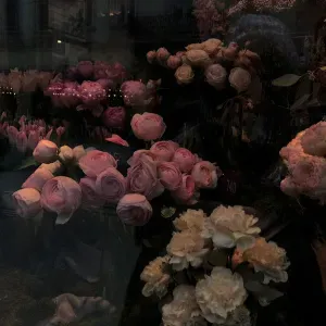 Babysitting sérieuse et de confiance