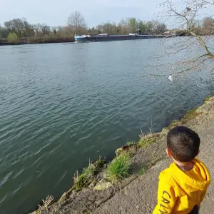 Emploi d'aide ménagère Sartrouville