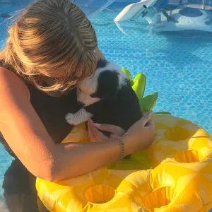 Pet sitter aux alentours de merindol