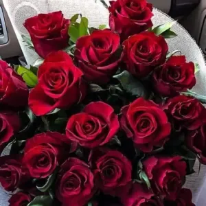 Aide à domicile pour vos Aînés et Ménage 