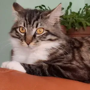 Mes visites en Suisse