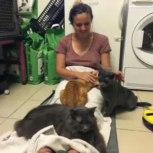 Aux petits soins pour vos chats en votre absence !