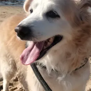 Formación profesional, peluquería estetica