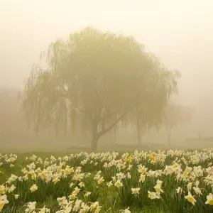 Etudiante en Lettres, aide aux devoirs