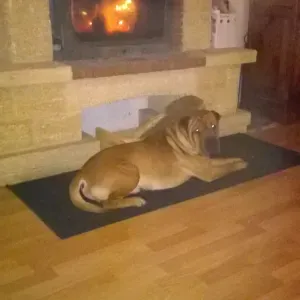 je recherche une personne pour entretien maison