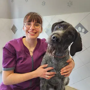 Emploi de femme de ménage Le Monastère