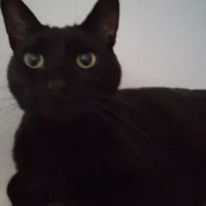 Aide a domicile Mulhouse et alentours 