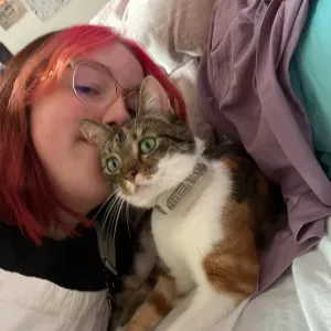 Pet-sitter à Seclin/Lille !! 