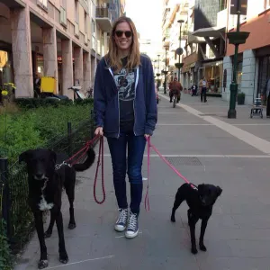 Lavoro per addetto alle pulizie Valbrona