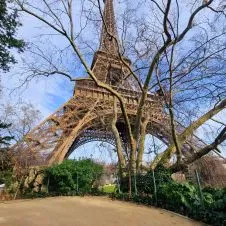 Amoureux des animaux