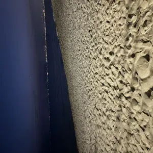 Aide au devoir / prof particulière 