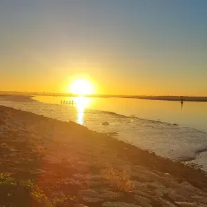 Empregada de limpeza experiente.